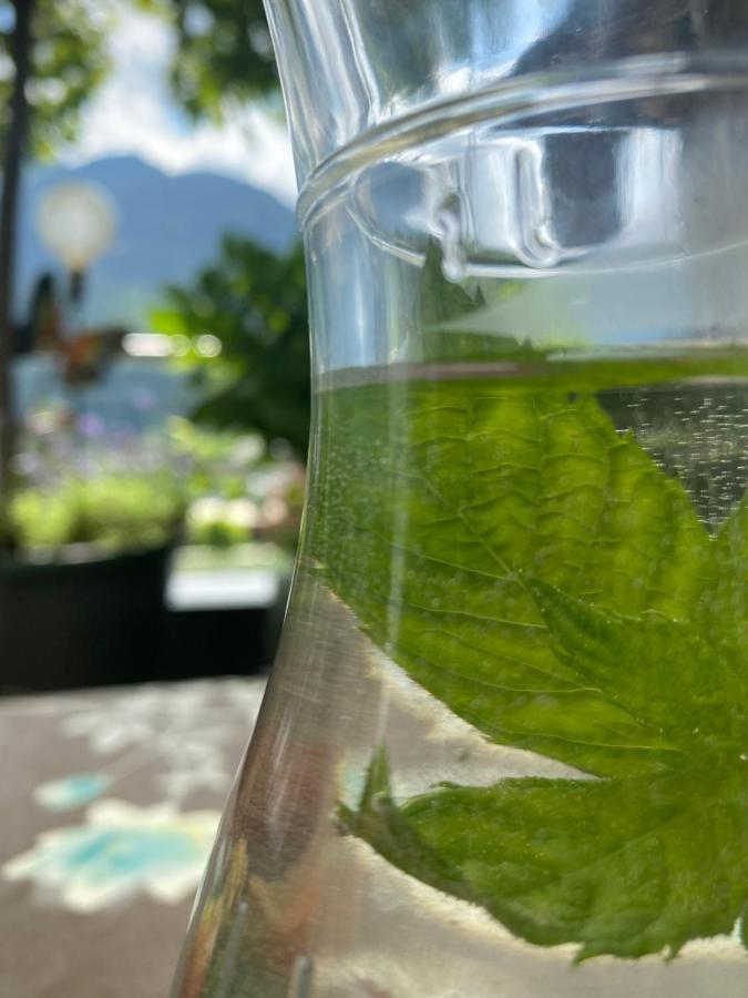 Neukirchen am Großvenediger Hotel Garni Pinzgau, Fabian Huettl المظهر الخارجي الصورة